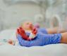 newborn baby